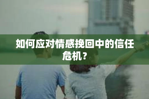如何应对情感挽回中的信任危机？