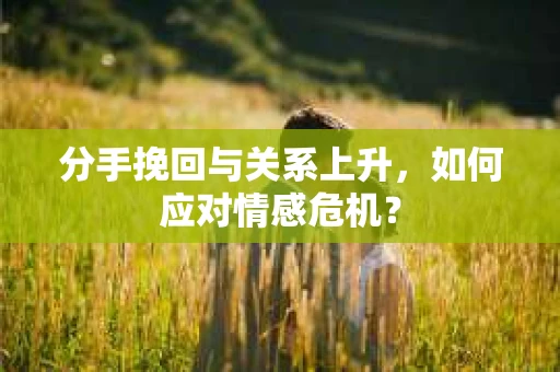 分手挽回与关系上升，如何应对情感危机？