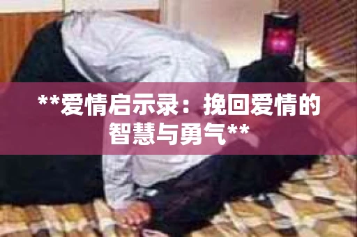 **爱情启示录：挽回爱情的智慧与勇气**