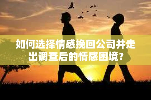 如何选择情感挽回公司并走出调查后的情感困境？