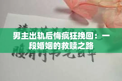 男主出轨后悔疯狂挽回：一段婚姻的救赎之路