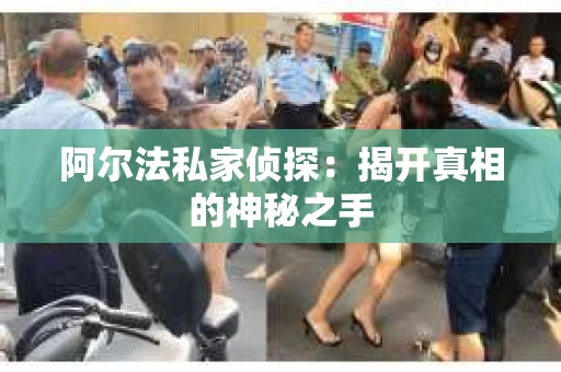 阿尔法私家侦探：揭开真相的神秘之手