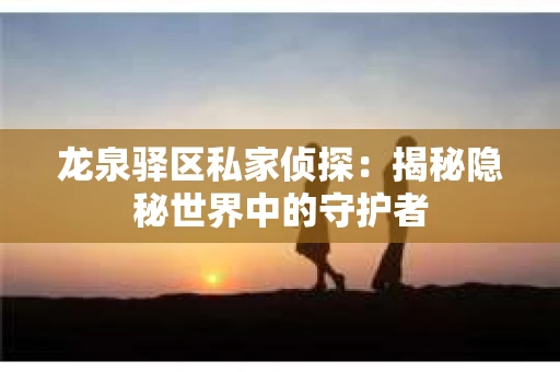 龙泉驿区私家侦探：揭秘隐秘世界中的守护者