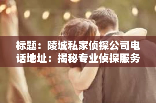 标题：陵城私家侦探公司电话地址：揭秘专业侦探服务背后的故事