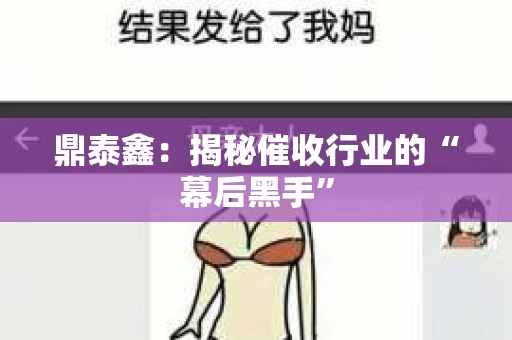 鼎泰鑫：揭秘催收行业的“幕后黑手”