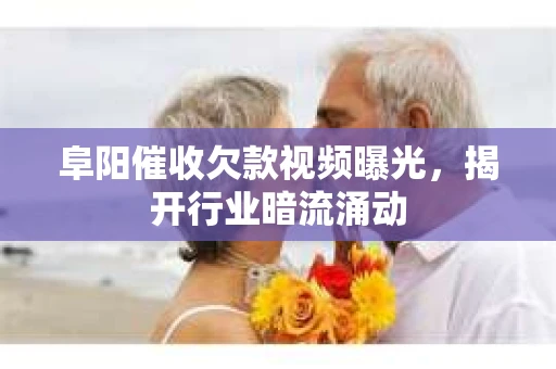 阜阳催收欠款视频曝光，揭开行业暗流涌动