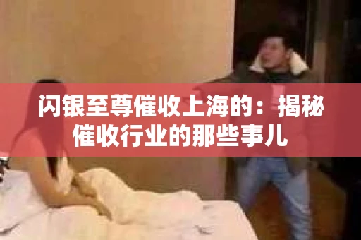 闪银至尊催收上海的：揭秘催收行业的那些事儿