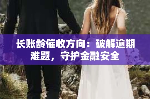 长账龄催收方向：破解逾期难题，守护金融安全