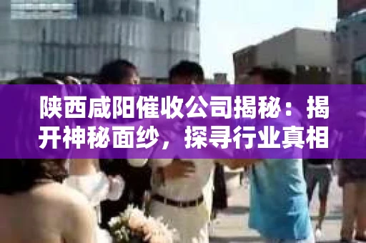 陕西咸阳催收公司揭秘：揭开神秘面纱，探寻行业真相