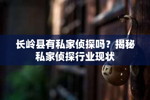 长岭县有私家侦探吗？揭秘私家侦探行业现状