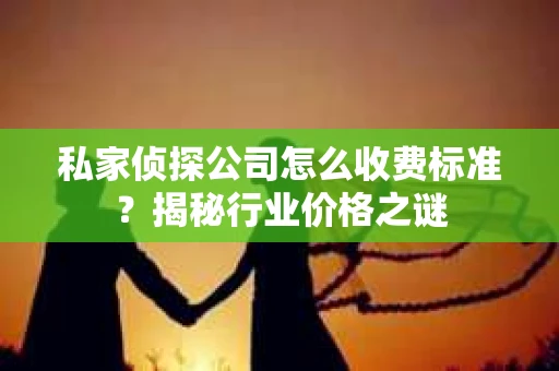 私家侦探公司怎么收费标准？揭秘行业价格之谜