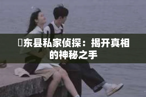 迺东县私家侦探：揭开真相的神秘之手