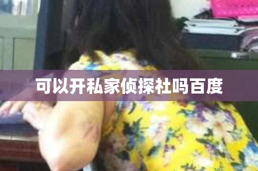 可以开私家侦探社吗百度