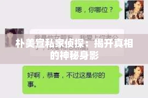 朴美宣私家侦探：揭开真相的神秘身影