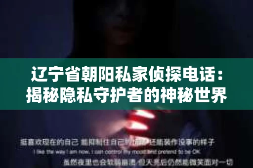 辽宁省朝阳私家侦探电话：揭秘隐私守护者的神秘世界