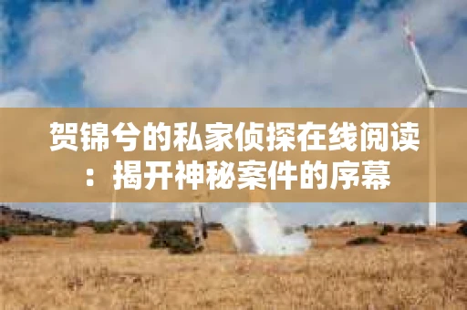 贺锦兮的私家侦探在线阅读：揭开神秘案件的序幕