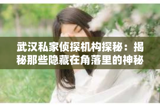 武汉私家侦探机构探秘：揭秘那些隐藏在角落里的神秘力量