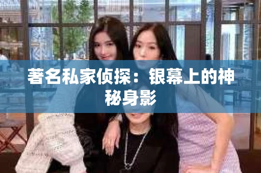 著名私家侦探：银幕上的神秘身影