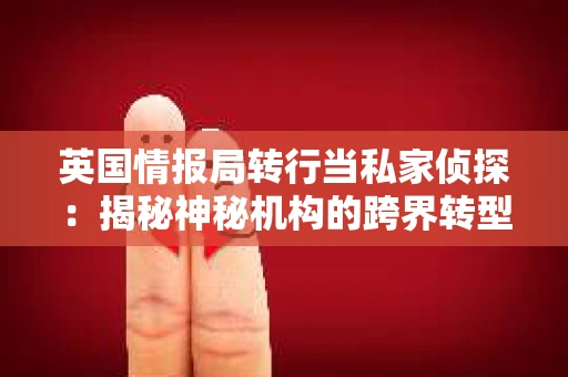 英国情报局转行当私家侦探：揭秘神秘机构的跨界转型