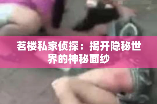 茗楼私家侦探：揭开隐秘世界的神秘面纱
