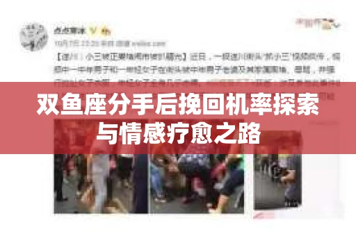 双鱼座分手后挽回机率探索与情感疗愈之路 双鱼座分手后挽回机率探索与情感疗愈之路