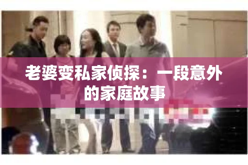 老婆变私家侦探：一段意外的家庭故事