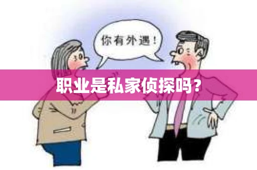 职业是私家侦探吗? 职业是私家侦探吗?