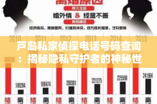芦岛私家侦探电话号码查询：揭秘隐私守护者的神秘世界