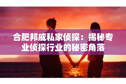 合肥邦威私家侦探:揭秘专业侦探行业的秘密角落 合肥邦威私家侦探:揭秘专业侦探行业的秘密角落