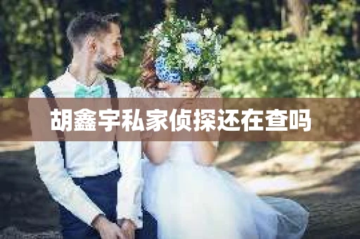 胡鑫宇私家侦探还在查吗