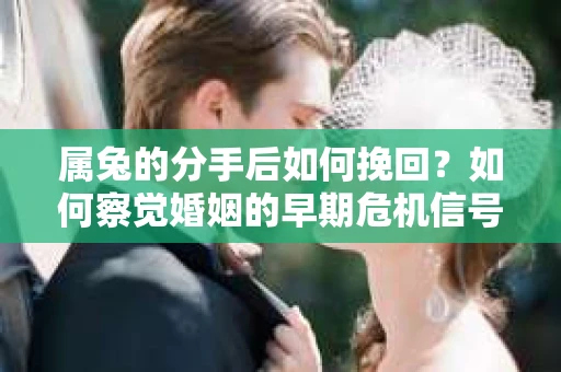属兔的分手后如何挽回?如何察觉婚姻的早期危机信号并采取行动? 属兔的分手后如何挽回?如何察觉婚姻的早期危机信号并采取行动?