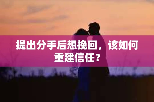 提出分手后想挽回，该如何重建信任？